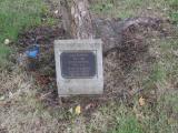 image of grave number 931263